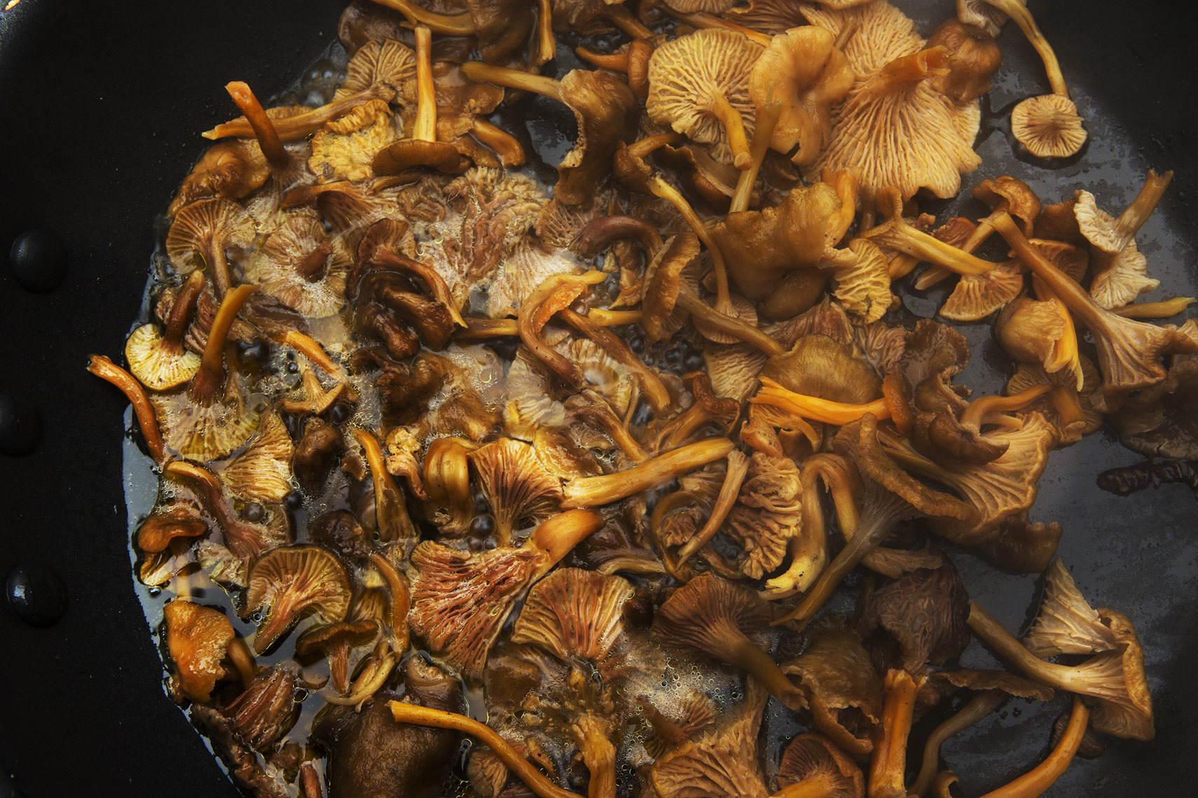  wild hedgehog mushrooms, Rose Hodges Food Photography, San Francisco