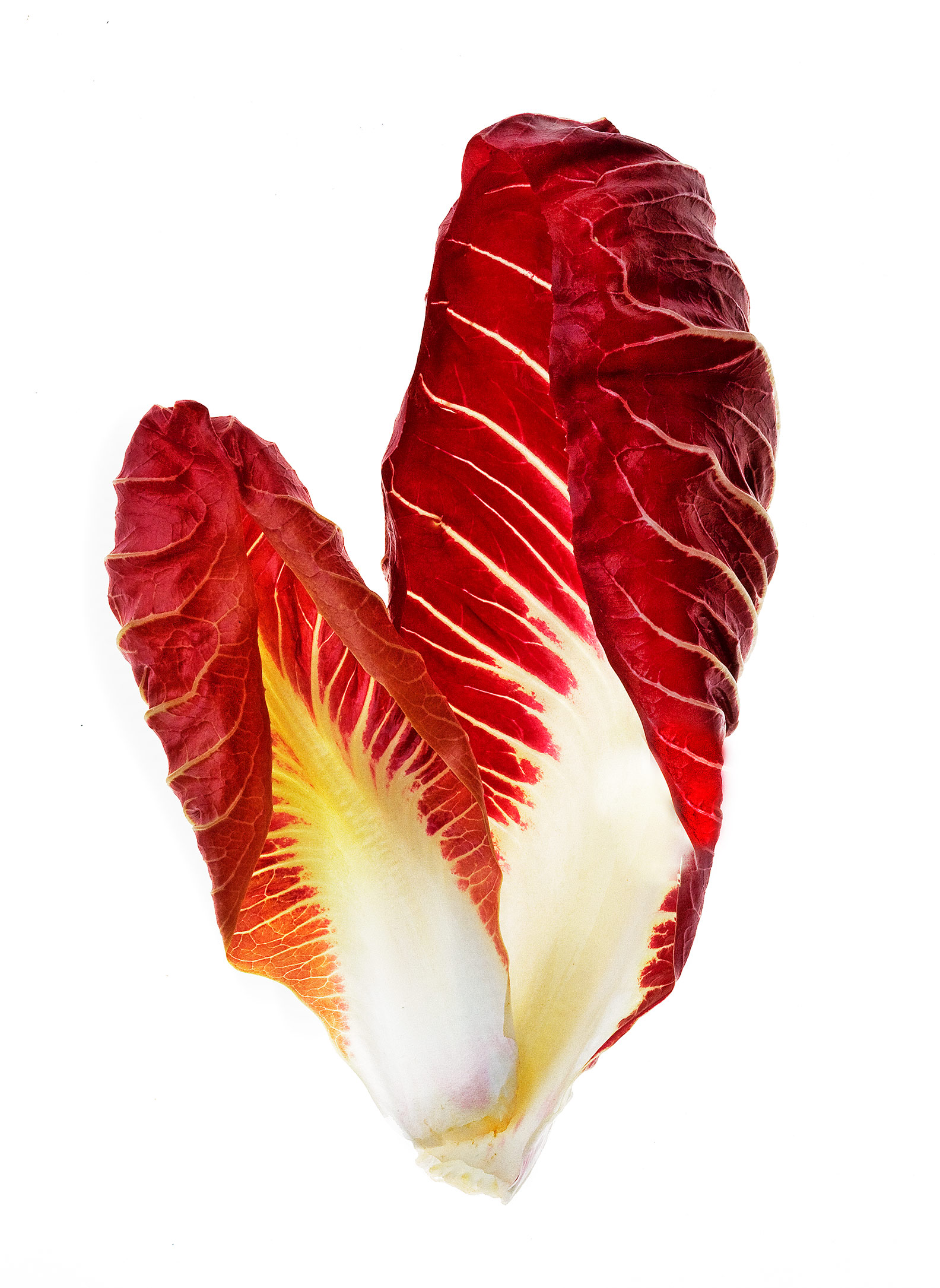 red radicchio, Rose Hodges Food Photography San Francisco