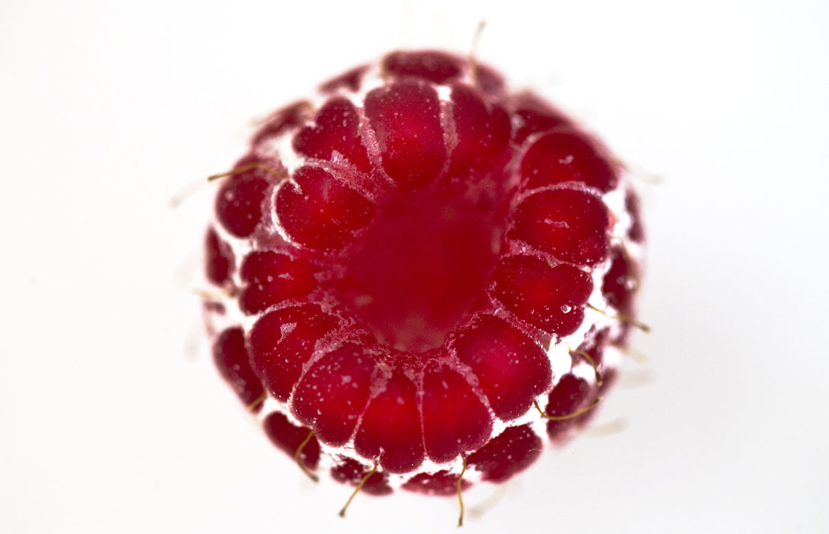 44_raspberry4950-8bit