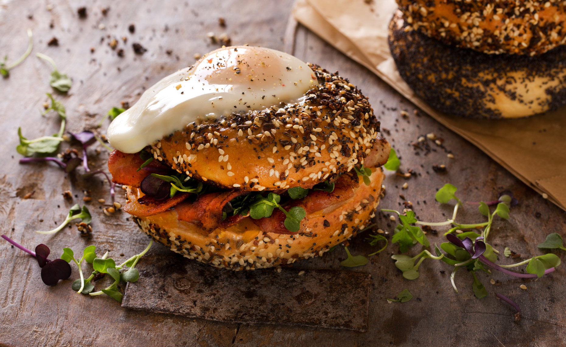 Everything Bagel and Egg, Rose Hodges Food Photography