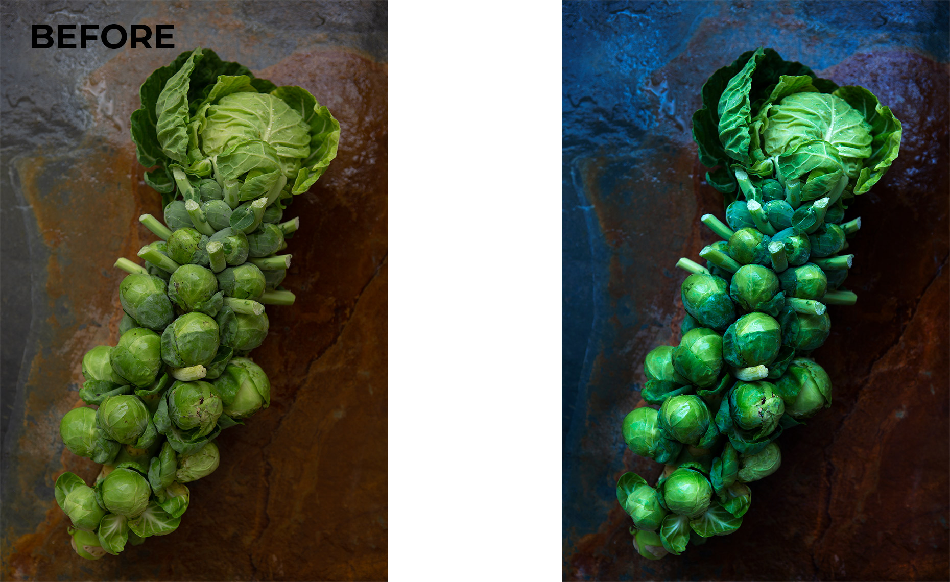 Brussel-Sprouts-WEB