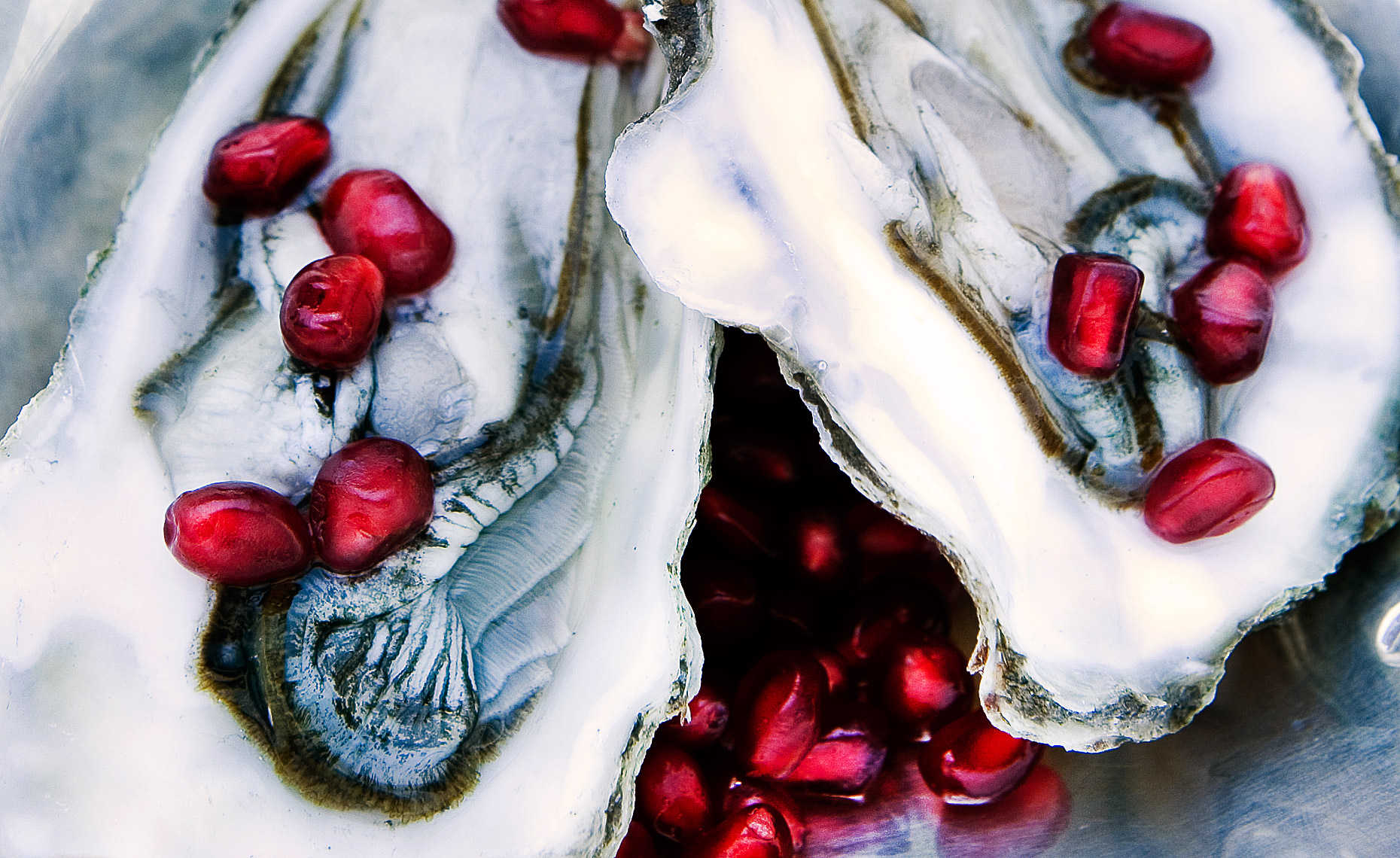 Fresh Oysters,  Rose Hodges Food Photography San Francisco