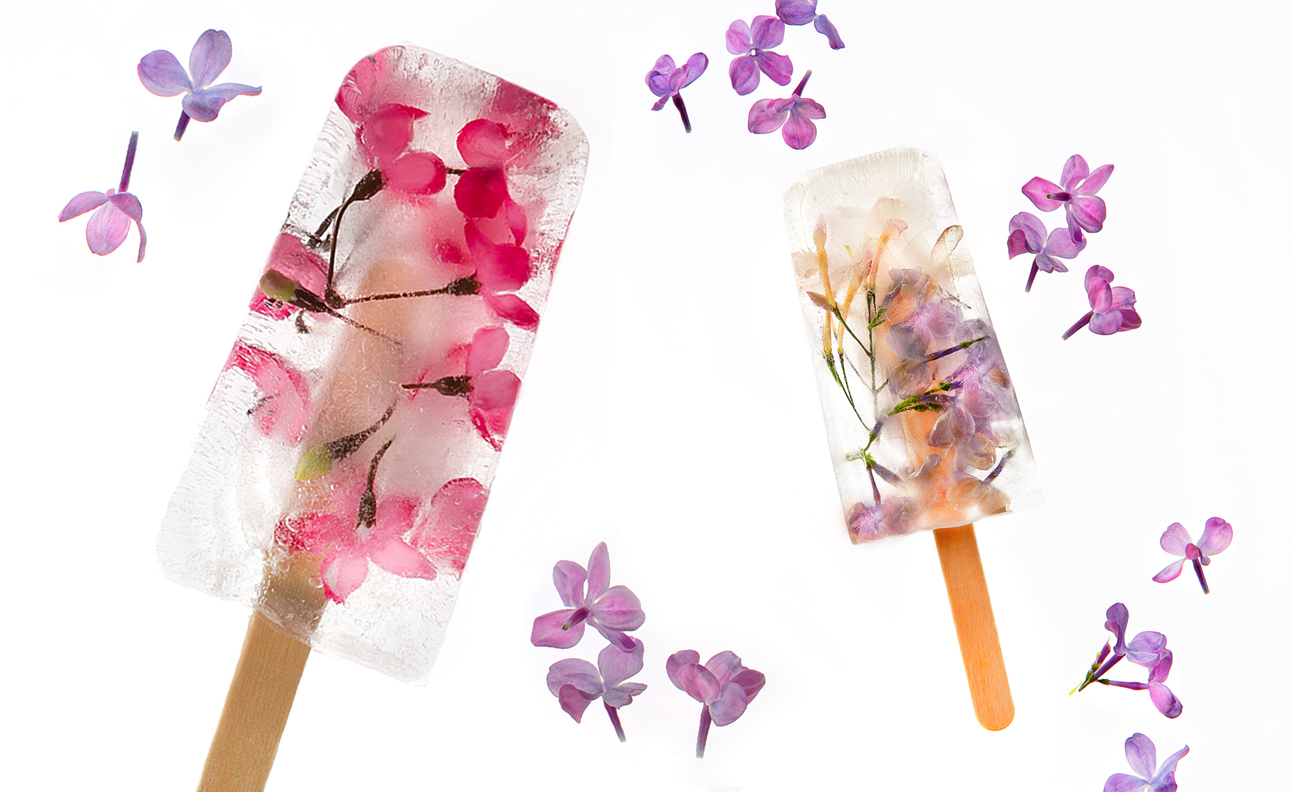 Popsicles with flowers, Rose Hodges Food Photography, San Francisco