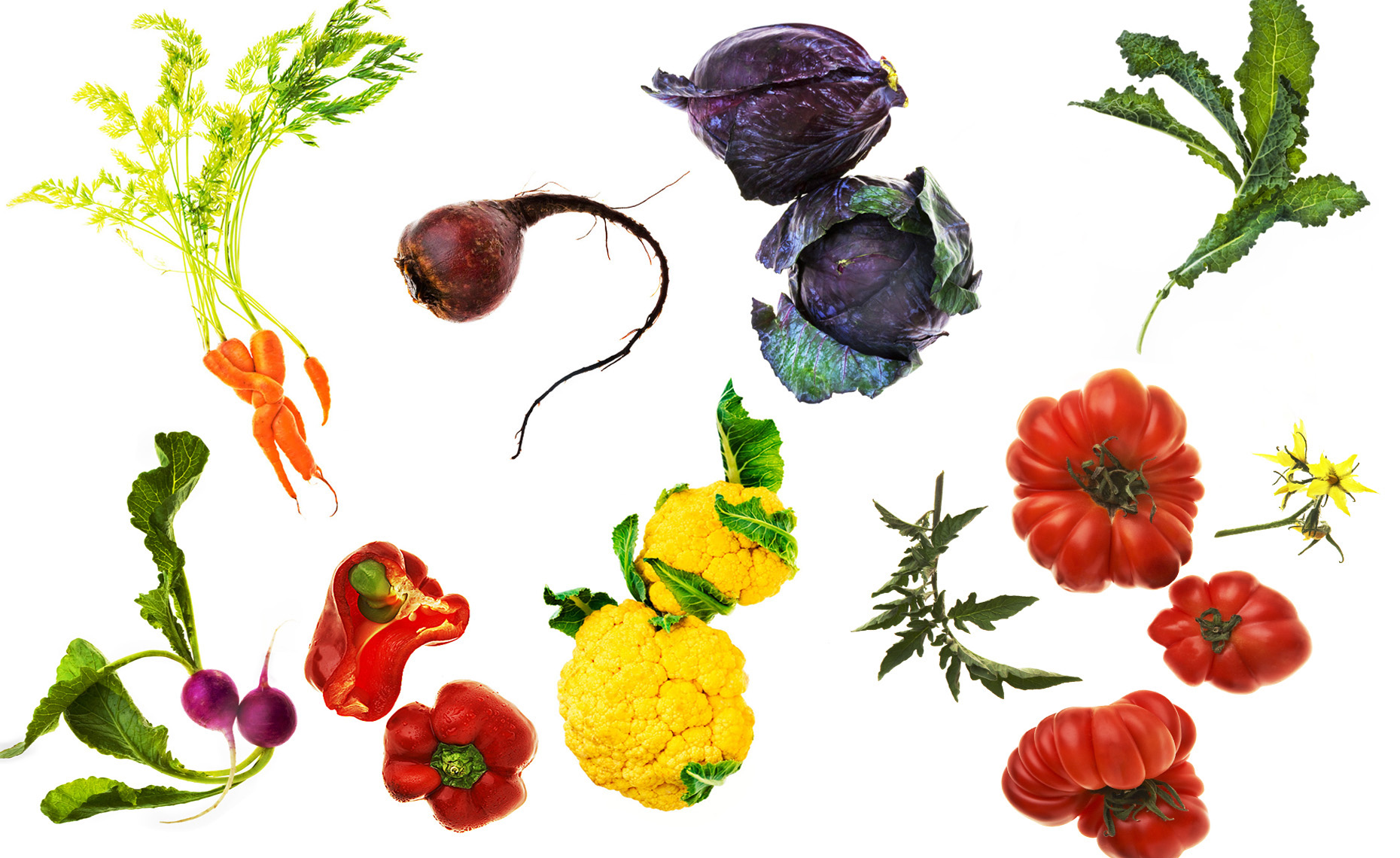 san francisco food  photographer, New York, Vegatables