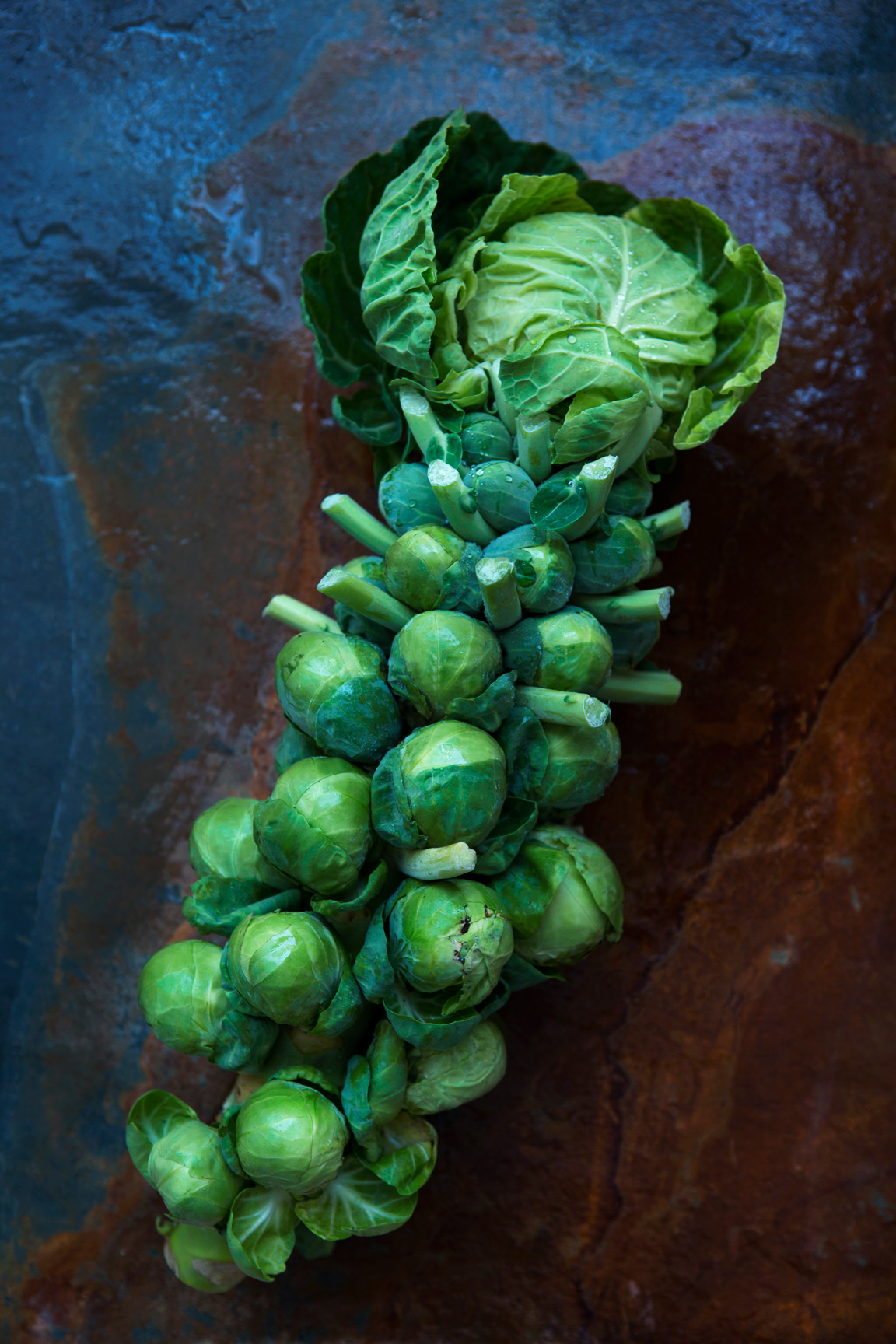 brusselsprouts_01A7364WEB