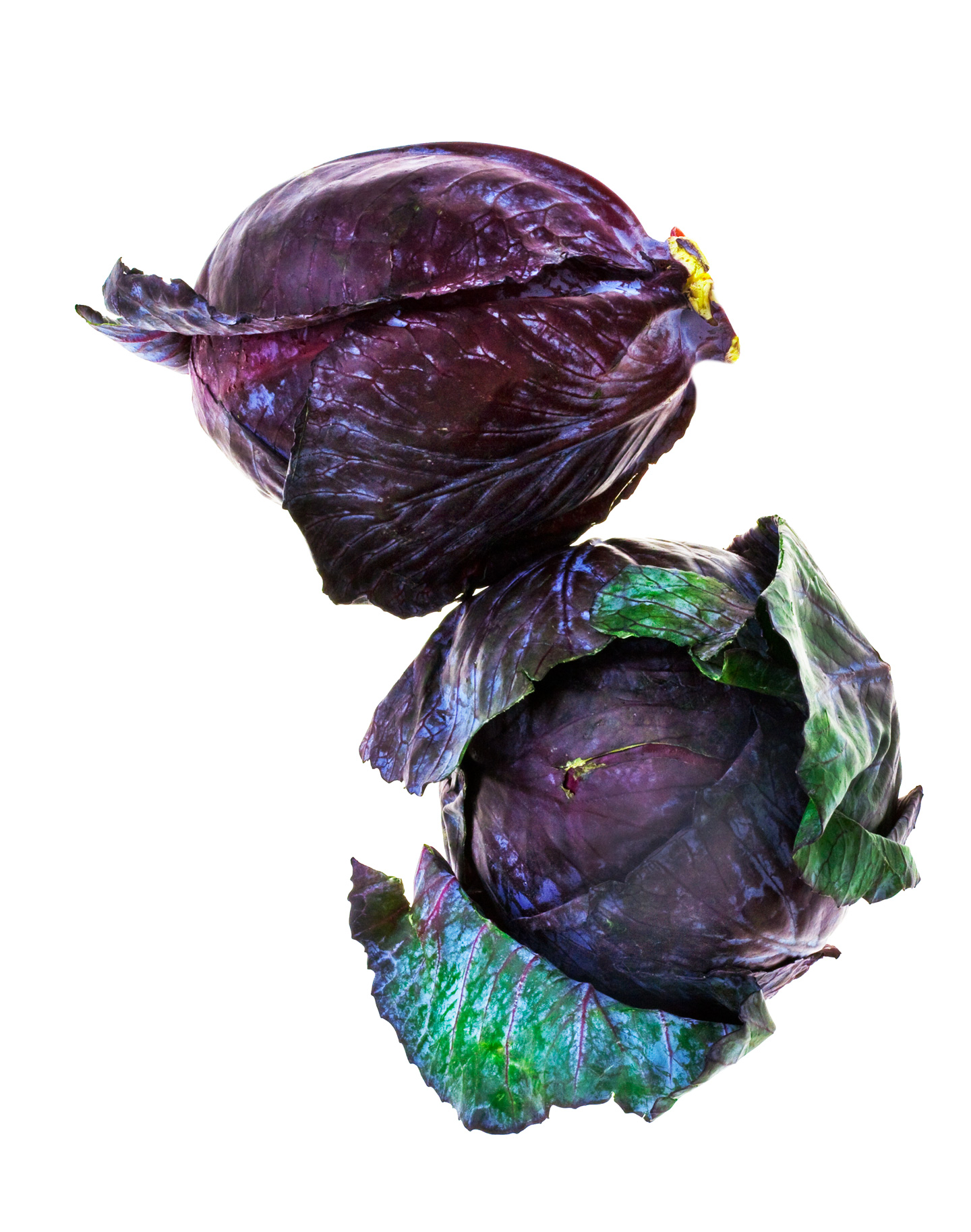 red cabbage, Rose Hodges Food Photography San Francisco