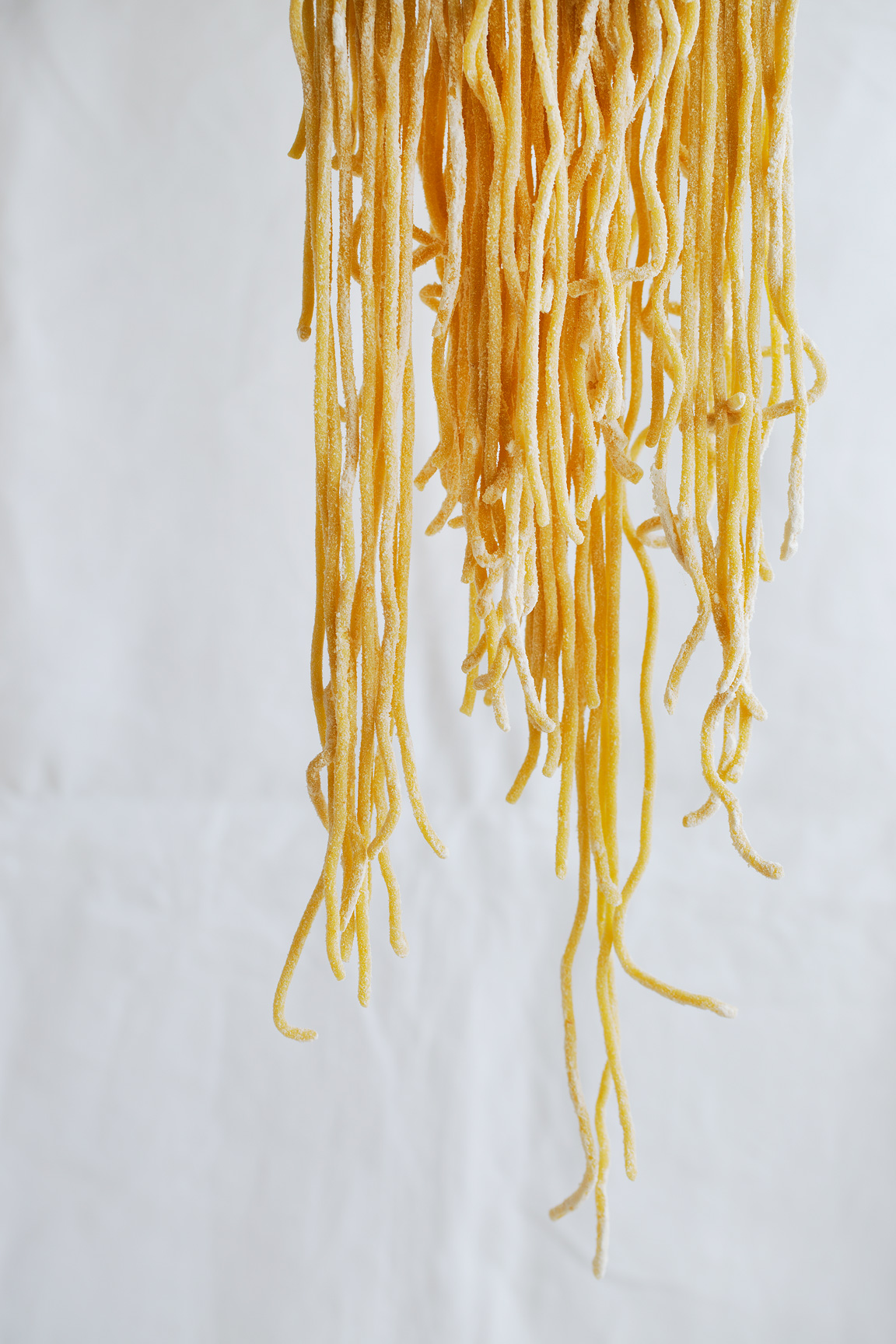 egg pasta, Rose Hodges Food Photography